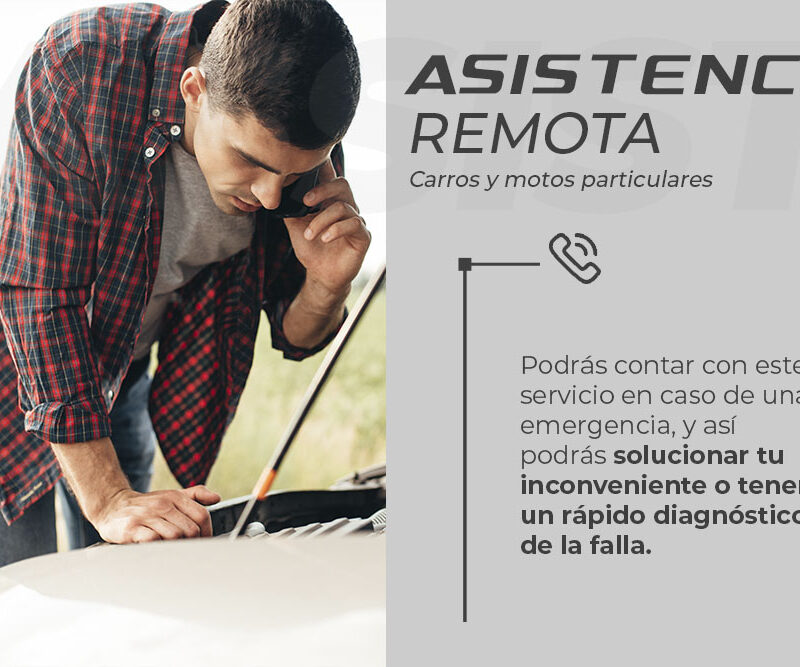 Servicios AssistAsistencia Remota