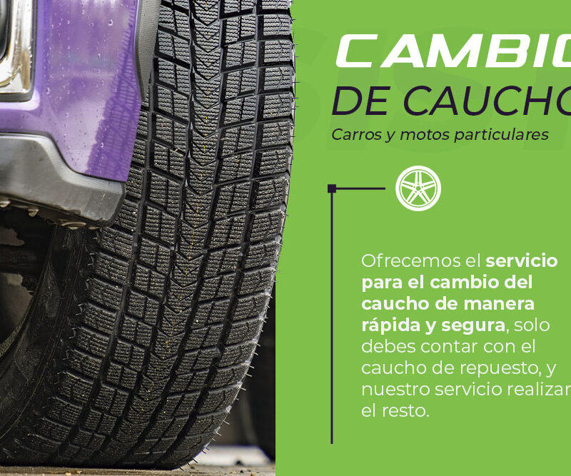 Servicios AssistCambio de caucho