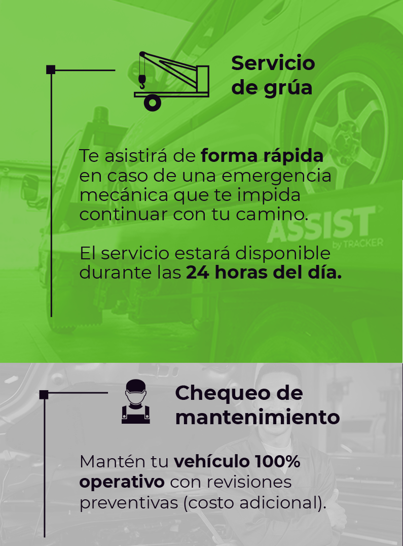 Servicios Assist Venezuela