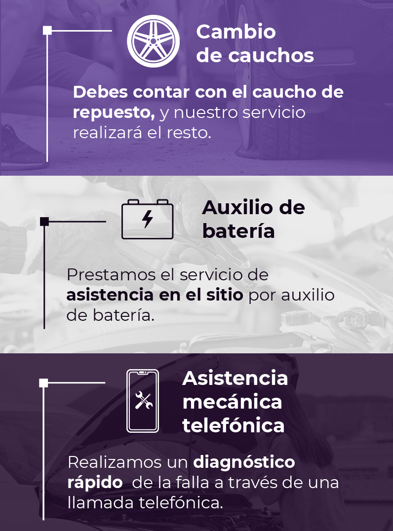 Servicios Assist Venezuela